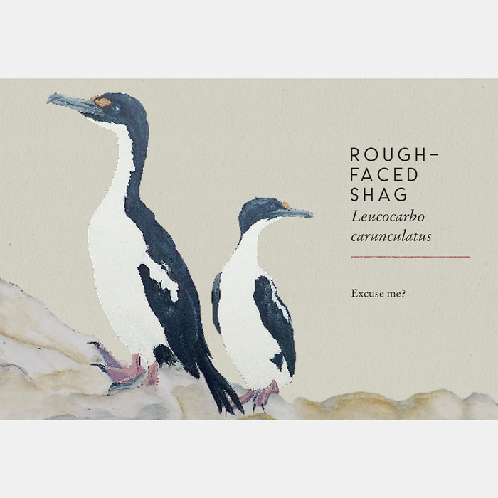 Book - Tits, Boobies and Loons