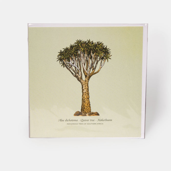 Greeting Card - Quiver Tree