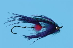 Howells Signature Intruder - Purple / Pink