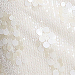 Sequin Pull On Mini Skirt