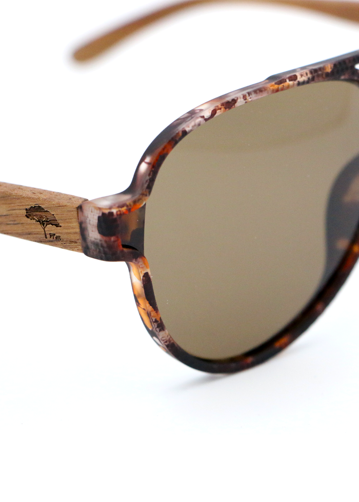 Aviator Koa Sunglasses - Brown Tortoise - Close-Up
