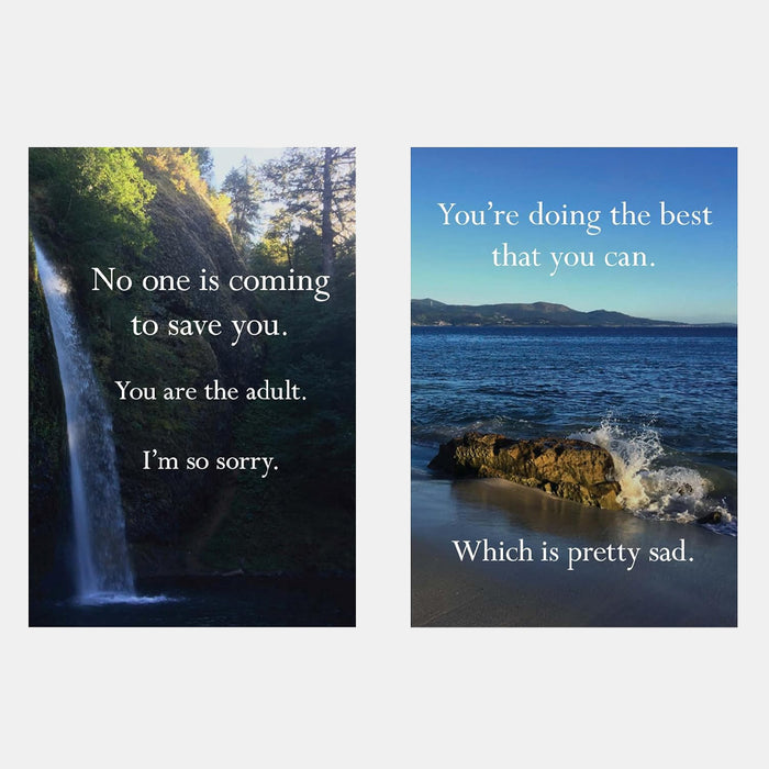 Book - Disappointing Affirmations