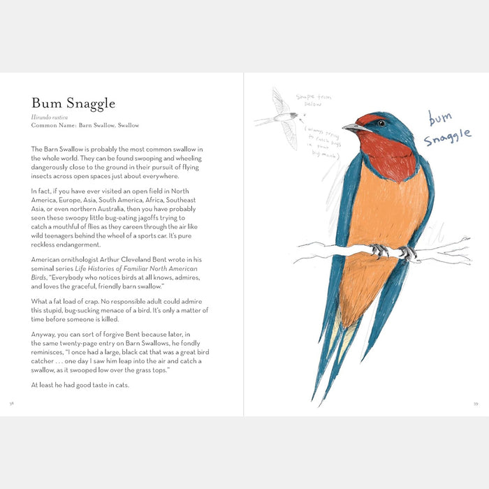 Book - Dumb Birds Field Guide