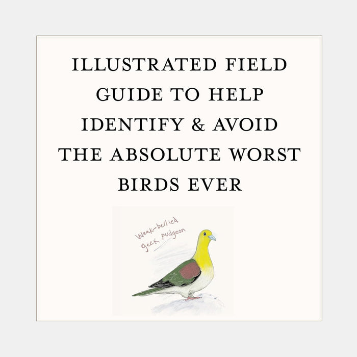 Book - Dumb Birds Field Guide