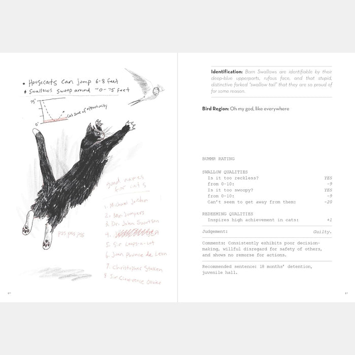 Book - Dumb Birds Field Guide