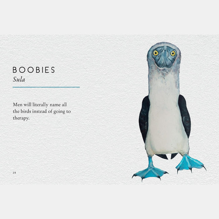 Book - Tits, Boobies and Loons