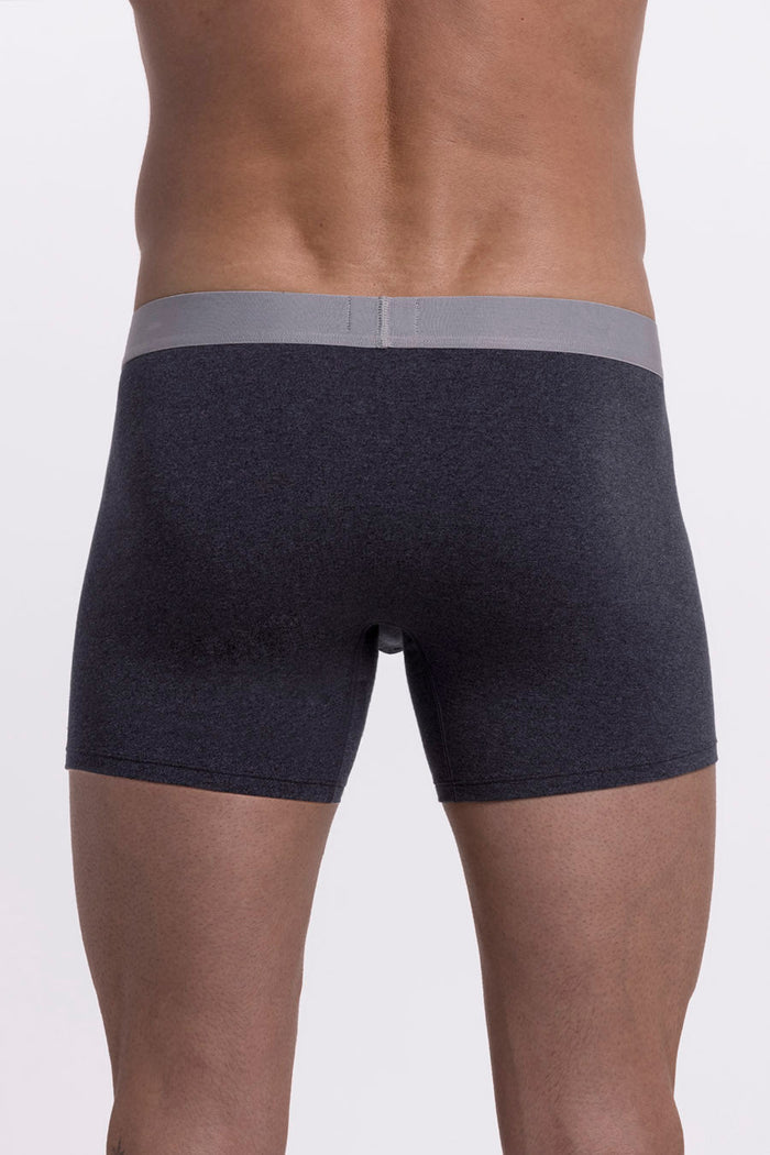 Model wearing the Brisk Secret Dark Heather Grey boxer briefs comfortable underwear.