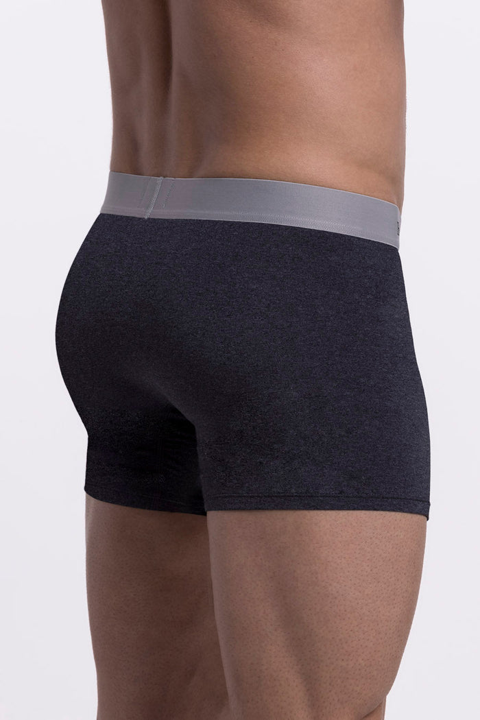 Model wearing the Brisk Secret Dark Heather Grey boxer briefs comfortable underwear.