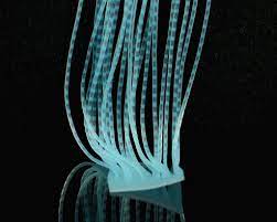 Chicone's Wide Barred Crusher Legs Hareline Blue Barred Clear Fly Tying Rivers and Glen Trading Co