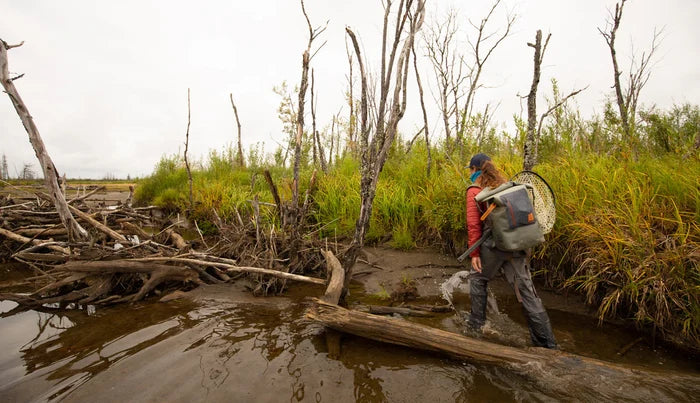 Fishpond Wind River Roll-Top Backpack - Eco Shale