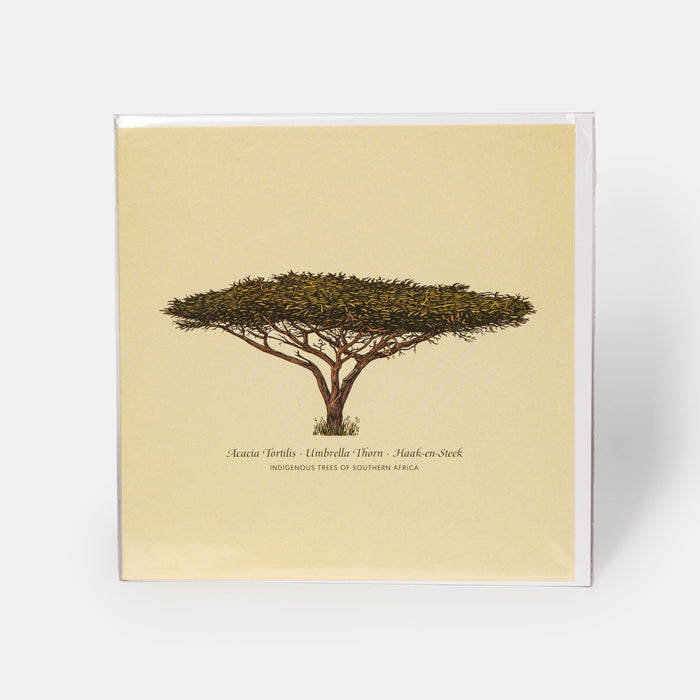 Greeting Card - Umbrella Thorn