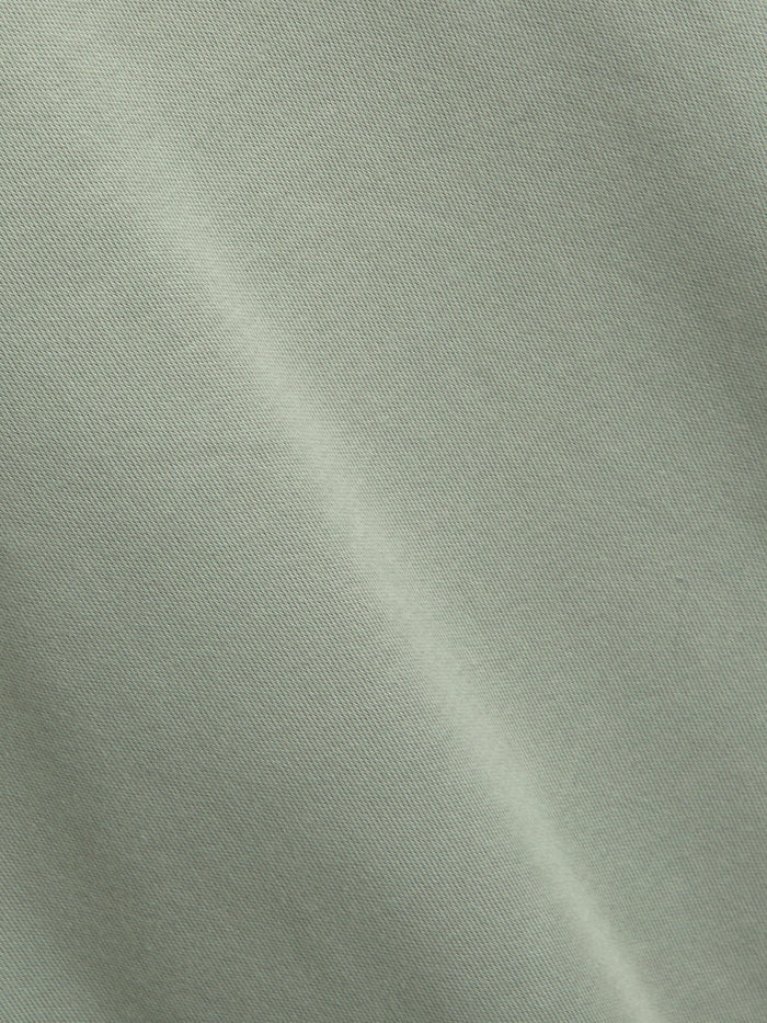 Heavy T-Shirt Tavistock Sage Green
