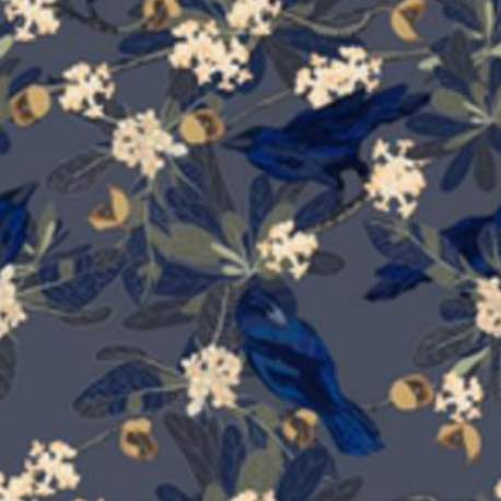 Ho’awa & ‘Alala Aloha Shirt - Navy