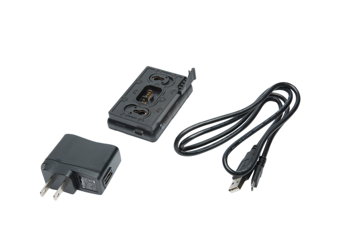 IPS Battery Charger