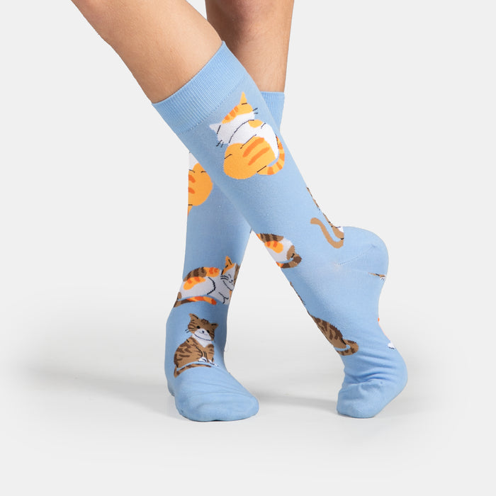 Men's Meet Cats Socks - Sky