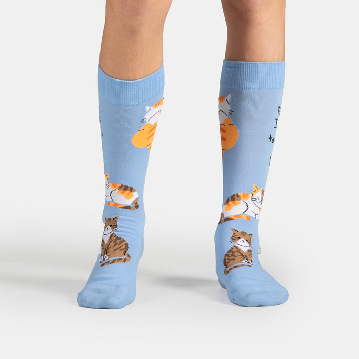 Men's Meet Cats Socks - Sky