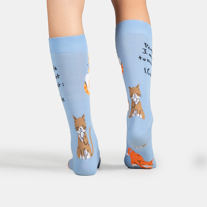 Men's Meet Cats Socks - Sky