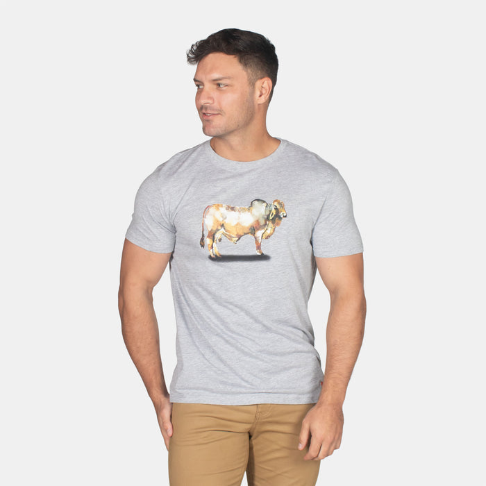 Men's Rooi Brahman T- Shirt - Grey