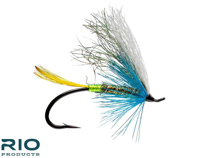 Morning Thunder fly