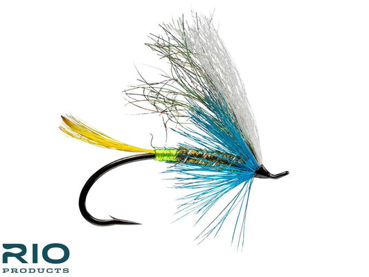 Morning Thunder fly