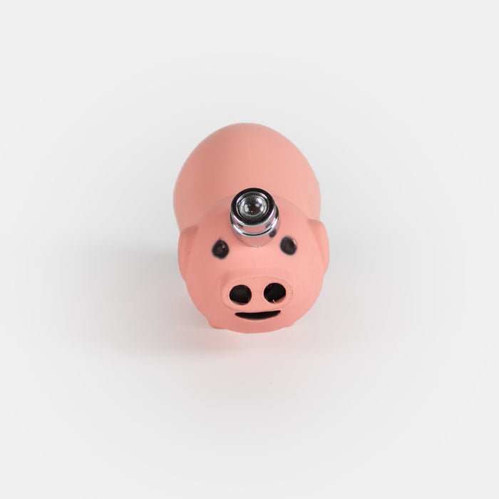 Novelty Twin Flame Piggy Lighter