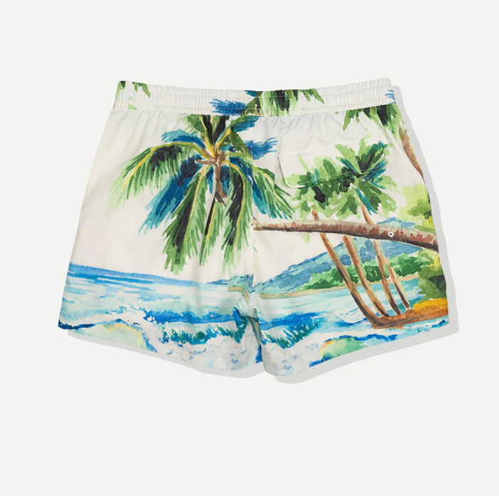 Postcard Swim Short