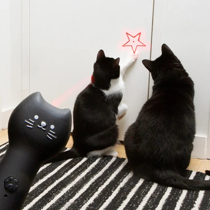 Rechargeable Pounce and Play Laser