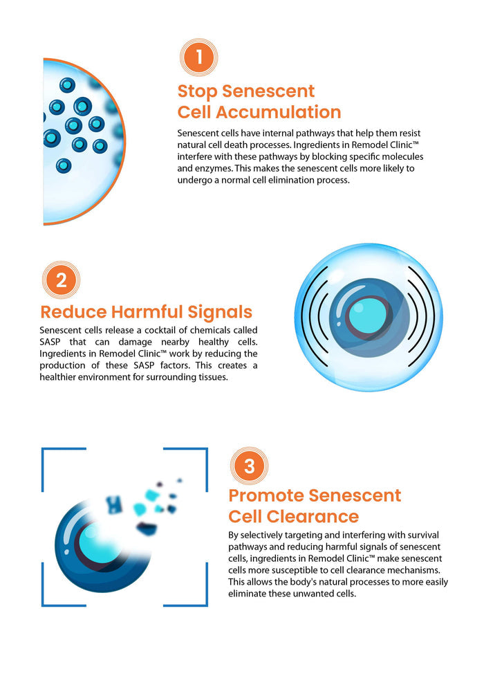 Vitamins & Supplements REMODEL CLINIC - Connective Tissue Remodeling Support SaltWrap