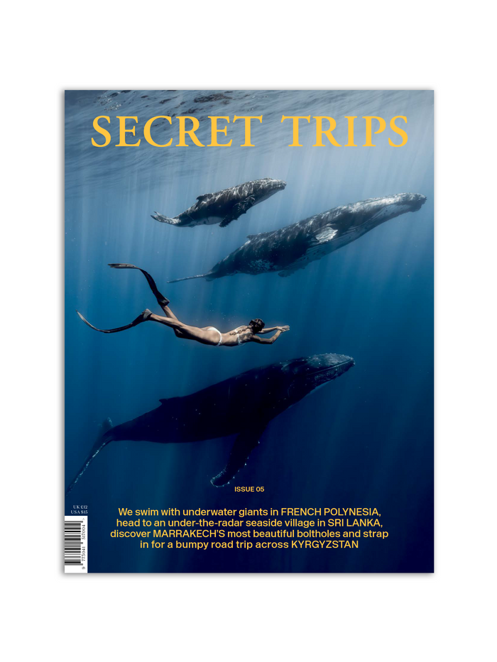 Secret Trips Magazine vol.5