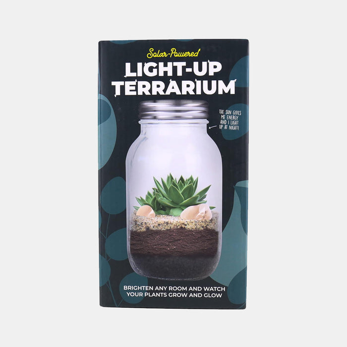 Solar Light Terrarium