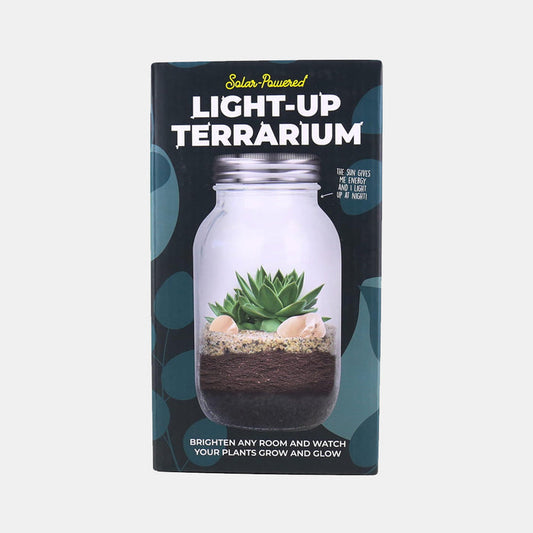 Solar Light Terrarium