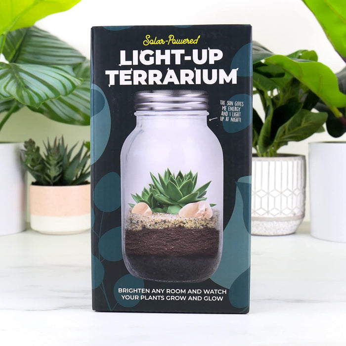 Solar Light Terrarium