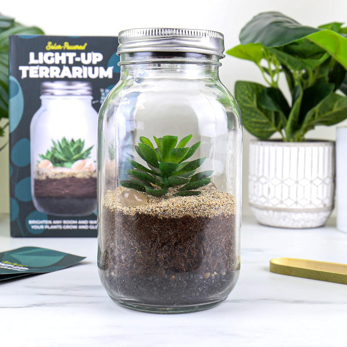 Solar Light Terrarium