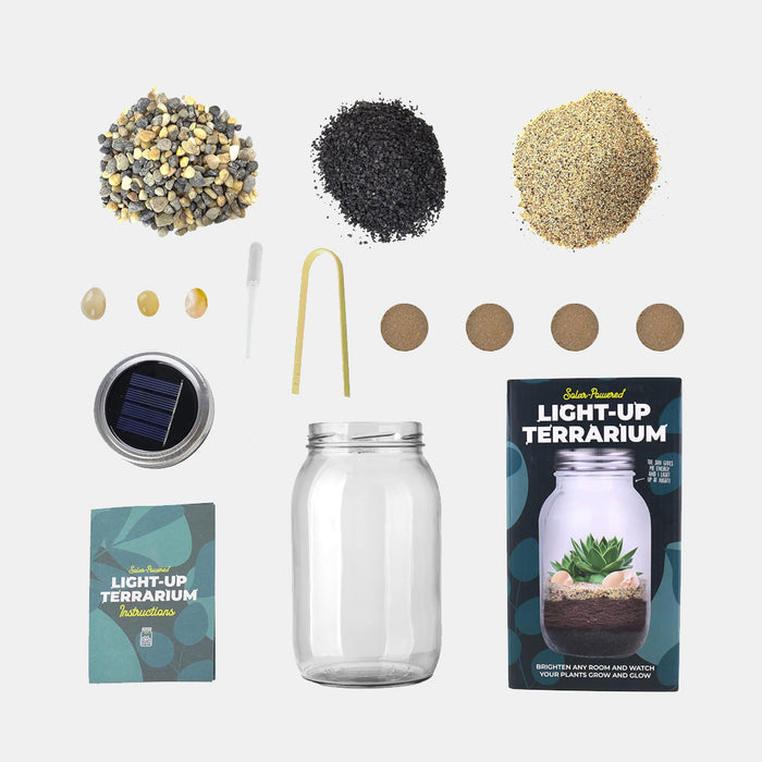 Solar Light Terrarium