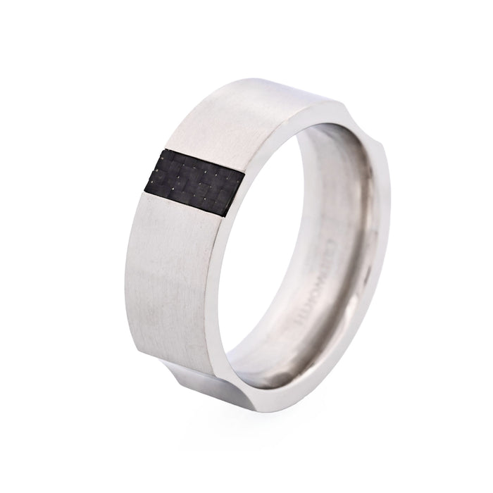 Stainless Steel Carbon Ring